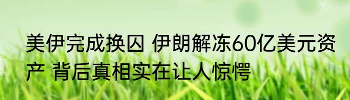 美伊完成换囚 伊朗解冻60亿美元资产 背后真相实在让人惊愕