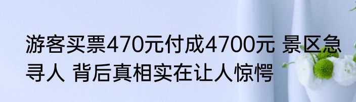 游客买票470元付成4700元 景区急寻人 背后真相实在让人惊愕