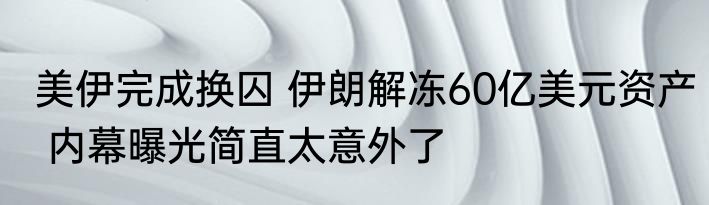 美伊完成换囚 伊朗解冻60亿美元资产 内幕曝光简直太意外了