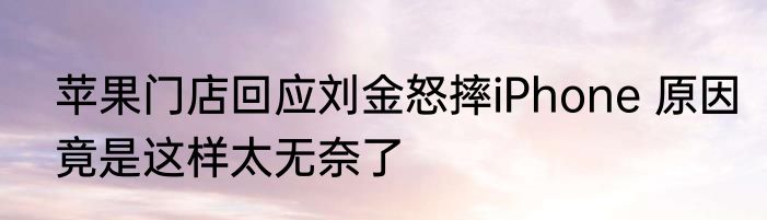 苹果门店回应刘金怒摔iPhone 原因竟是这样太无奈了