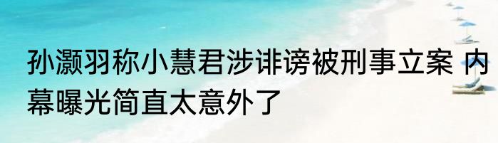 孙灏羽称小慧君涉诽谤被刑事立案 内幕曝光简直太意外了