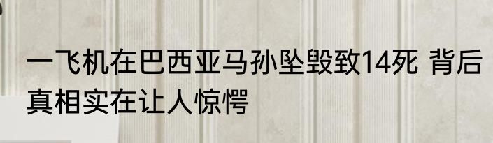 一飞机在巴西亚马孙坠毁致14死 背后真相实在让人惊愕