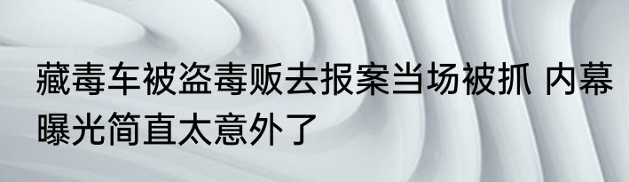 藏毒车被盗毒贩去报案当场被抓 内幕曝光简直太意外了
