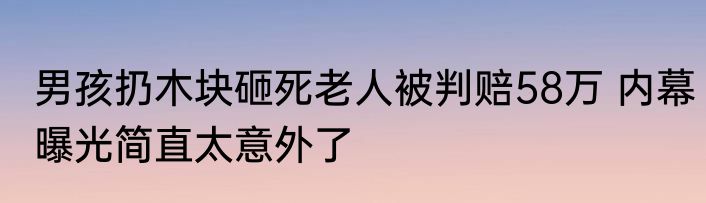 男孩扔木块砸死老人被判赔58万 内幕曝光简直太意外了