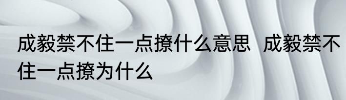 成毅禁不住一点撩什么意思  成毅禁不住一点撩为什么