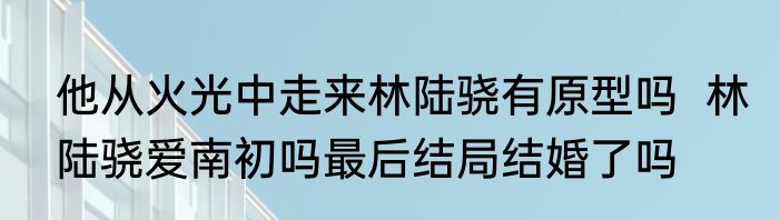 他从火光中走来林陆骁有原型吗  林陆骁爱南初吗最后结局结婚了吗