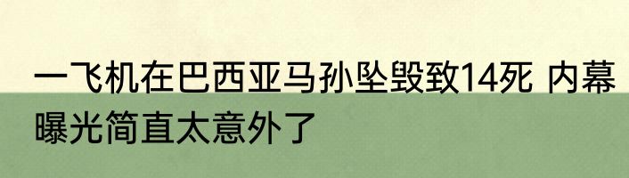一飞机在巴西亚马孙坠毁致14死 内幕曝光简直太意外了