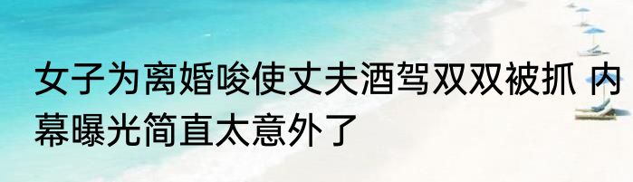 女子为离婚唆使丈夫酒驾双双被抓 内幕曝光简直太意外了