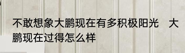 不敢想象大鹏现在有多积极阳光   大鹏现在过得怎么样