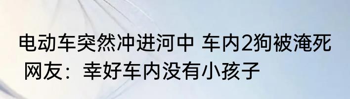 电动车突然冲进河中 车内2狗被淹死   网友：幸好车内没有小孩子