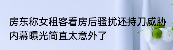 房东称女租客看房后骚扰还持刀威胁 内幕曝光简直太意外了