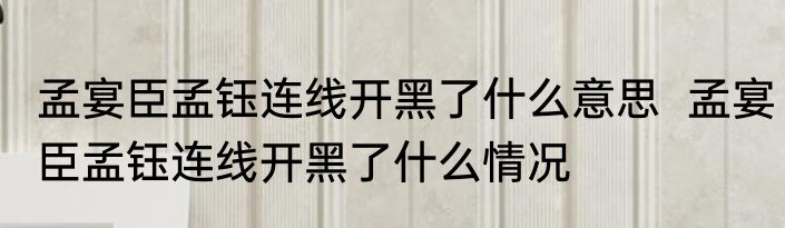 孟宴臣孟钰连线开黑了什么意思  孟宴臣孟钰连线开黑了什么情况