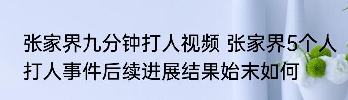 张家界九分钟打人视频 张家界5个人打人事件后续进展结果始末如何