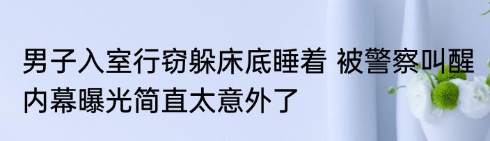 男子入室行窃躲床底睡着 被警察叫醒 内幕曝光简直太意外了