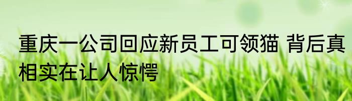 重庆一公司回应新员工可领猫 背后真相实在让人惊愕
