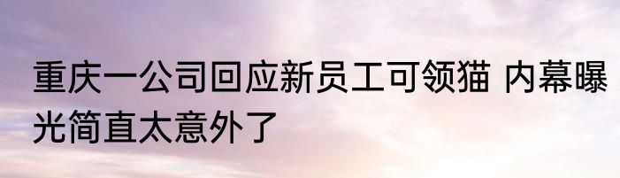 重庆一公司回应新员工可领猫 内幕曝光简直太意外了
