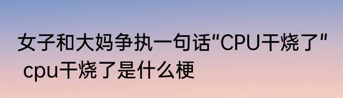 女子和大妈争执一句话“CPU干烧了