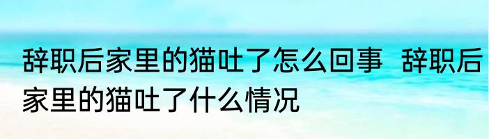 辞职后家里的猫吐了怎么回事  	辞职后家里的猫吐了什么情况