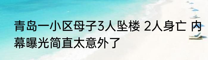 青岛一小区母子3人坠楼 2人身亡 内幕曝光简直太意外了