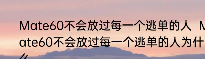 Mate60不会放过每一个逃单的人  Mate60不会放过每一个逃单的人为什么