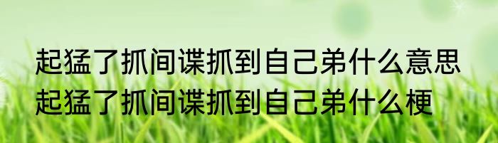 起猛了抓间谍抓到自己弟什么意思  起猛了抓间谍抓到自己弟什么梗