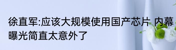 徐直军:应该大规模使用国产芯片 内幕曝光简直太意外了