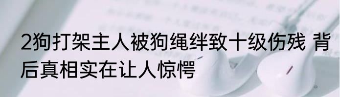 2狗打架主人被狗绳绊致十级伤残 背后真相实在让人惊愕