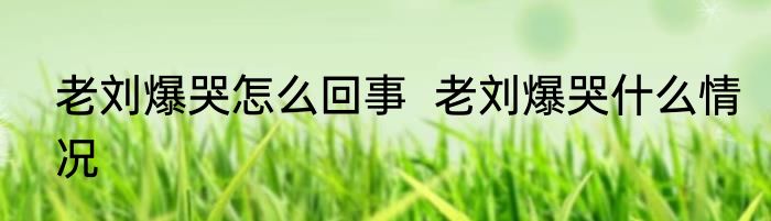老刘爆哭怎么回事  老刘爆哭什么情况