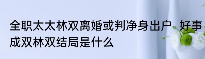 全职太太林双离婚或判净身出户  好事成双林双结局是什么