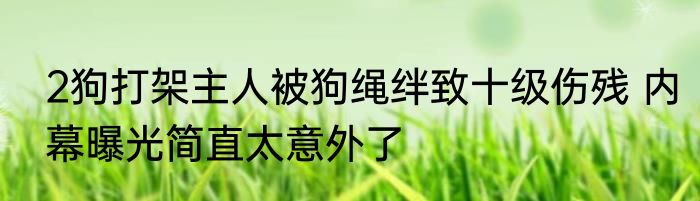 2狗打架主人被狗绳绊致十级伤残 内幕曝光简直太意外了