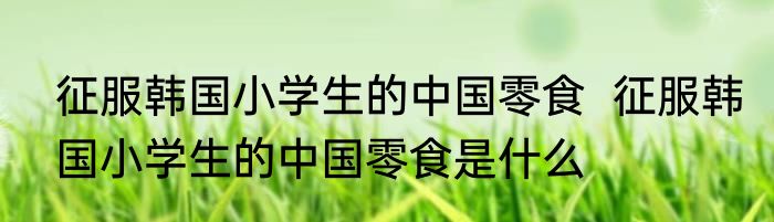 征服韩国小学生的中国零食  征服韩国小学生的中国零食是什么