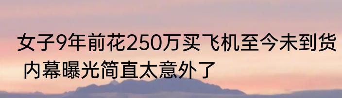 女子9年前花250万买飞机至今未到货 内幕曝光简直太意外了