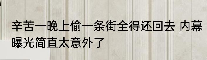 辛苦一晚上偷一条街全得还回去 内幕曝光简直太意外了