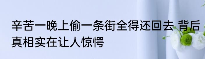 辛苦一晚上偷一条街全得还回去 背后真相实在让人惊愕