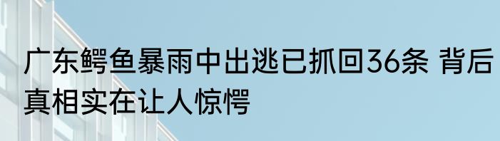 广东鳄鱼暴雨中出逃已抓回36条 背后真相实在让人惊愕