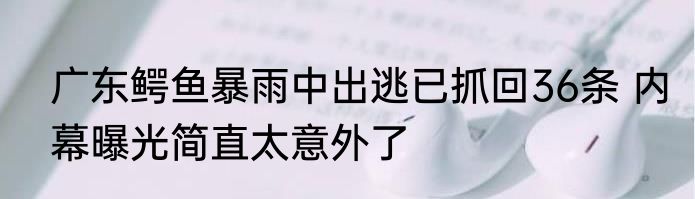 广东鳄鱼暴雨中出逃已抓回36条 内幕曝光简直太意外了