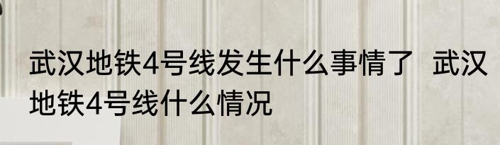 武汉地铁4号线发生什么事情了  武汉地铁4号线什么情况
