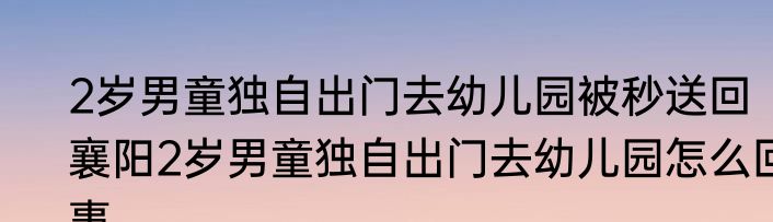 2岁男童独自出门去幼儿园被秒送回  襄阳2岁男童独自出门去幼儿园怎么回事