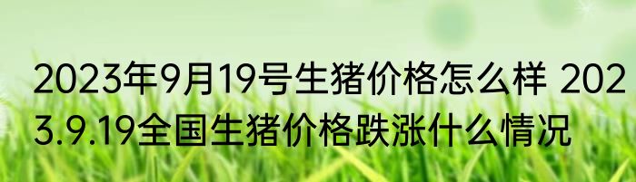 2023年9月19号生猪价格怎么样 2023.9.19全国生猪价格跌涨什么情况