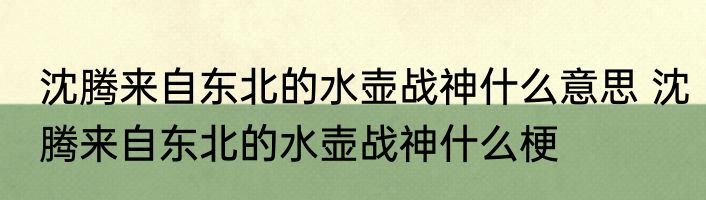 沈腾来自东北的水壶战神什么意思 沈腾来自东北的水壶战神什么梗