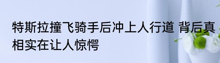 特斯拉撞飞骑手后冲上人行道 背后真相实在让人惊愕