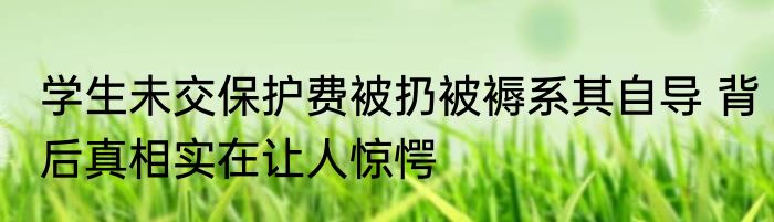 学生未交保护费被扔被褥系其自导 背后真相实在让人惊愕