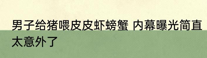男子给猪喂皮皮虾螃蟹 内幕曝光简直太意外了