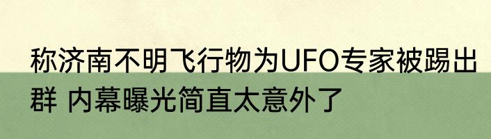 称济南不明飞行物为UFO专家被踢出群 内幕曝光简直太意外了