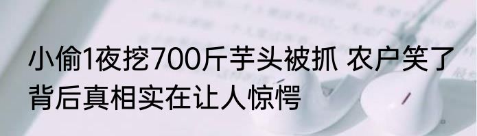 小偷1夜挖700斤芋头被抓 农户笑了 背后真相实在让人惊愕