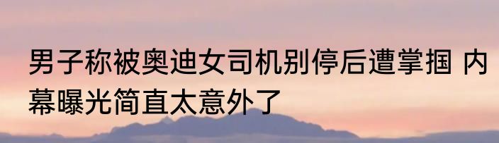 男子称被奥迪女司机别停后遭掌掴 内幕曝光简直太意外了