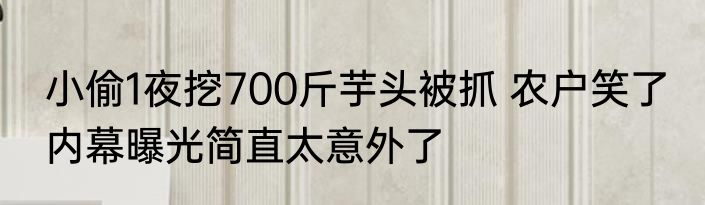 小偷1夜挖700斤芋头被抓 农户笑了 内幕曝光简直太意外了