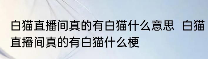 白猫直播间真的有白猫什么意思  白猫直播间真的有白猫什么梗
