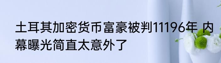 土耳其加密货币富豪被判11196年 内幕曝光简直太意外了