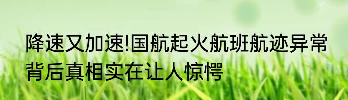 降速又加速!国航起火航班航迹异常 背后真相实在让人惊愕